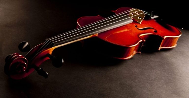 Top-Grade Strings for 5 String Double Basses in St. Petersburg, FL