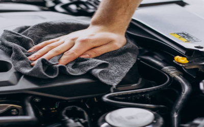 Double the Clean: How to Wash Your Car and Dog in One Visit at Rain Coast Wash and Lube