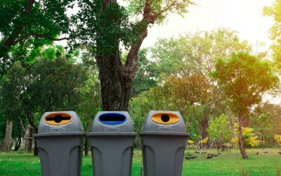 Simplify Waste Removal With a 20-yard dumpster rental in Fayetteville, GA for Home Projects