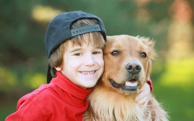 Puppy Training for Long-Term Success: Creating Good Habits Early On
