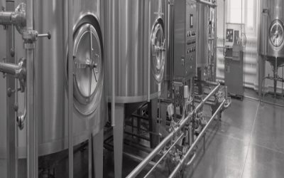 Ensure Accurate Readings in Food Processing with a Sanitary Pressure Gauge