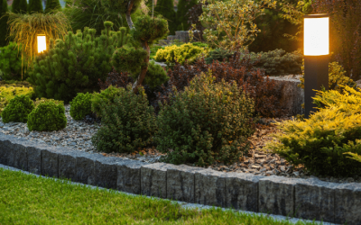 Transform Your Outdoor Spaces with Landscaping Companies Aurora CO Residents Trust