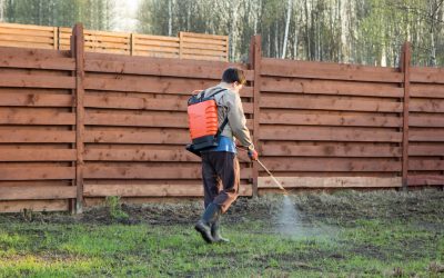 The Impact of Lawn Fertilizing in Germantown, TN, on Weed and Pest Control