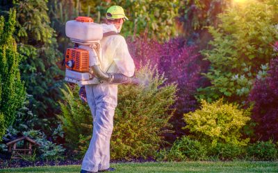 How mosquito yard treatment in Haymarket, VA, keeps family spaces safe from bites