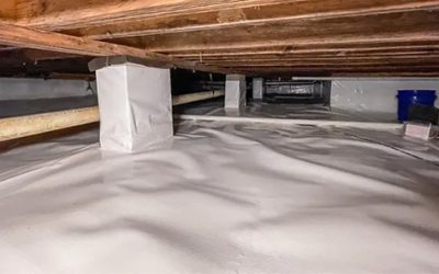 How to Prevent Mold In My Crawl Space Arkansas Homeowners Guide to a Healthier Basement
