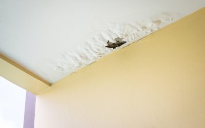 Homeowners Trust Drywall Repair Holly Springs GA for Seamless Wall Restorations